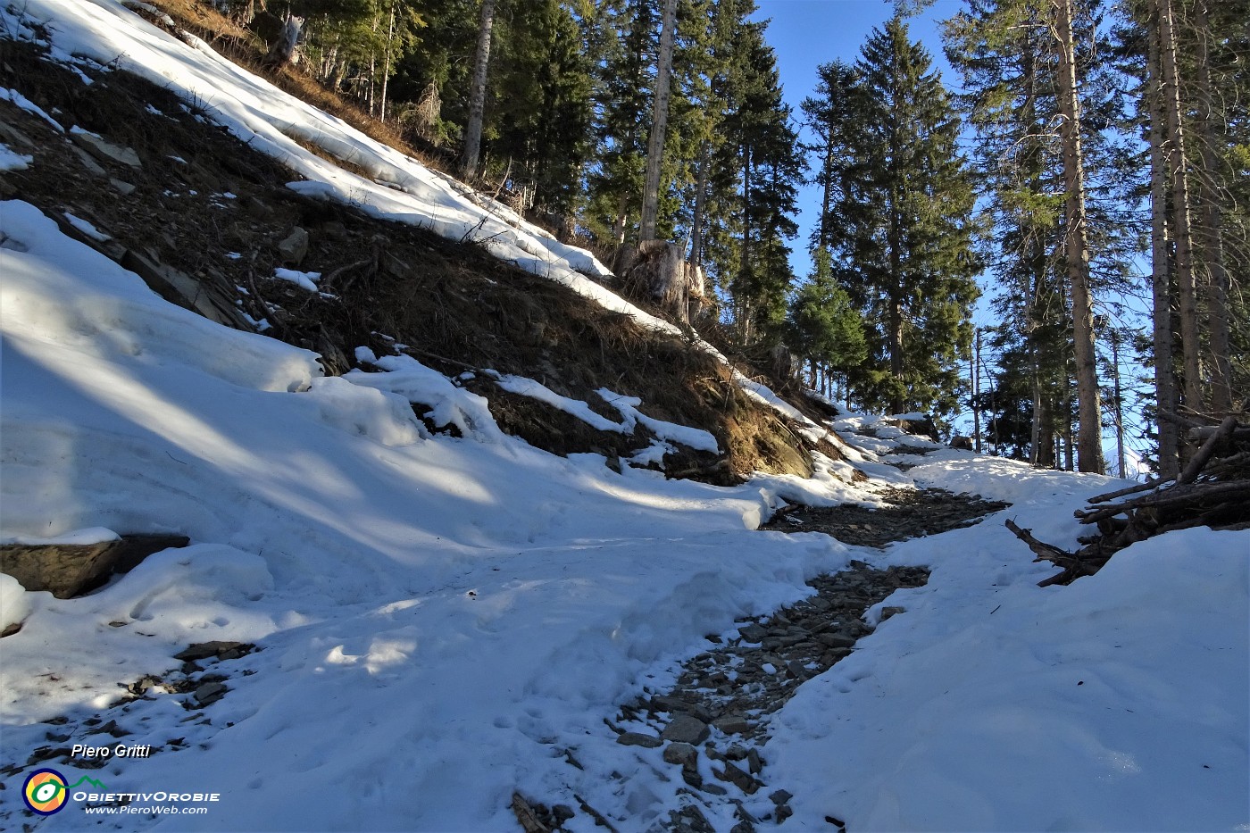 12 Il bianco della neve, il verde degli abeti , l'azzurro del cielo!.JPG